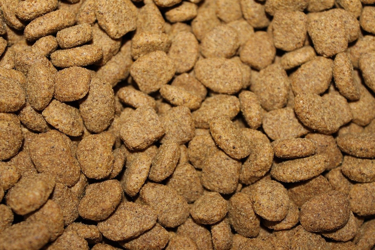 Pet Food Drying Machine How Dried Pet Food are Made using Airtek